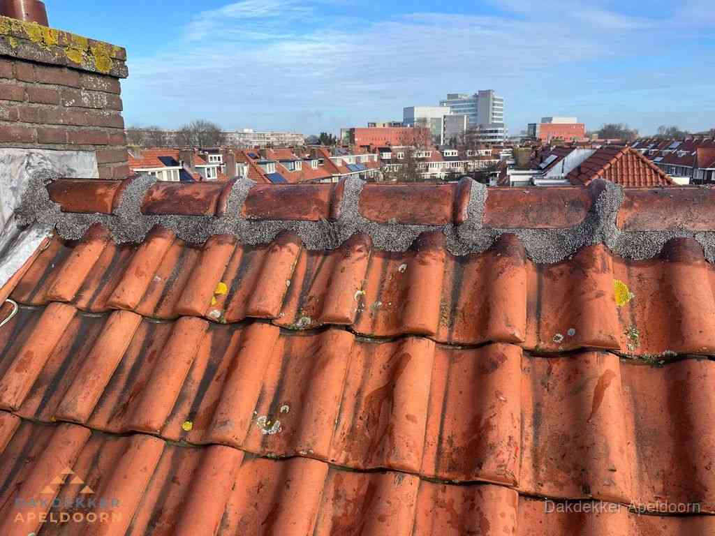 Apeldoorn Daken Renoveren Apeldoorn Daken Renoveren
