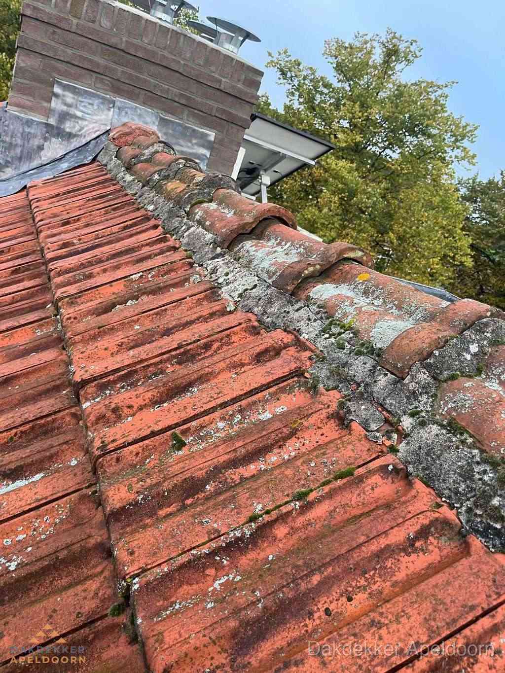 Renovatie Hellend Dak Apeldoorn Renovatie Hellend Dak Apeldoorn